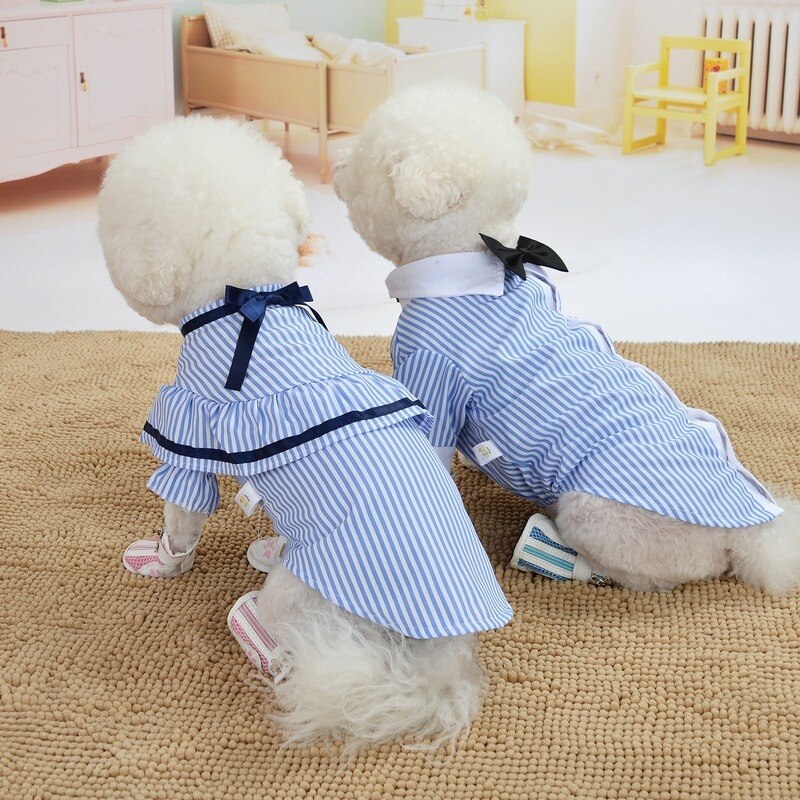 Ropa de Perro, estilo británico, traje de pareja Para perros, camisas a rayas, Bowknot, cachorro pequeño, primavera Otoño, Ropa azul de dos patas Para Perro