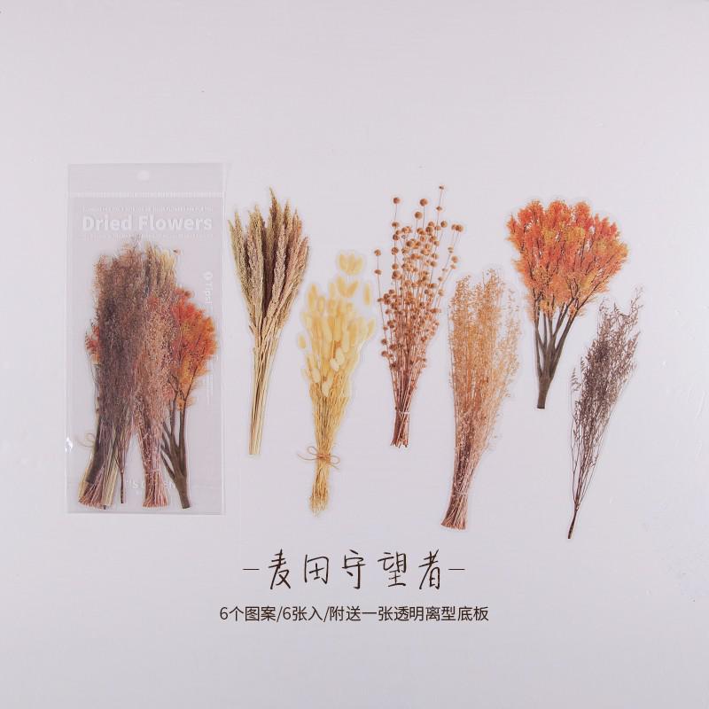 6 Sheets Leaves Flowers Stickers Big Size Deco Stickers For Planner Journal Scrapbooking Diary Diy: C