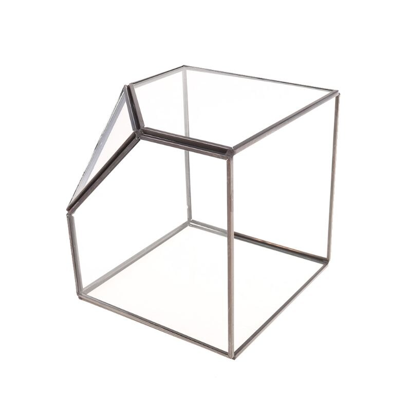 Modern Glass Terrarium Storage Box Clear Glass Geometric Terrarium Succulent Plant Display Box