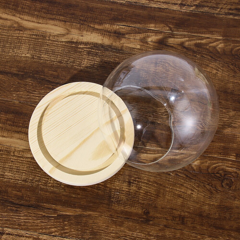 1Pcs Sferische Glas Cloche Jar Display Stand Cover Terrarium Fles Met Houten Base Acryl Stofkap Display Box Bloem doos