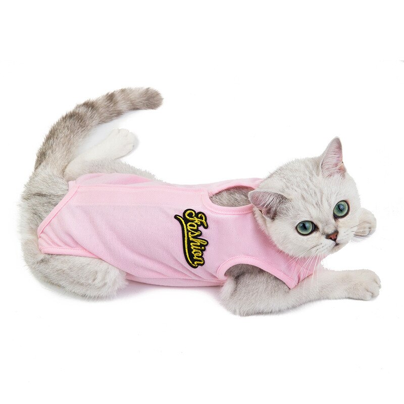 Gato do sexo feminino cirurgia terno pet gatos esterilização roupas desmame roupas pet colete pós-operatório anti-mordida camisa gatos: Rosa / XL