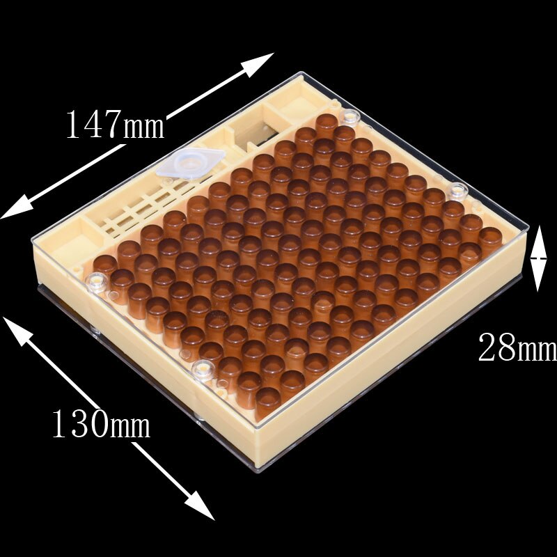 Beekeeping Queen Rearing Cupkit Box 120x Brown Cel... – Vicedeal