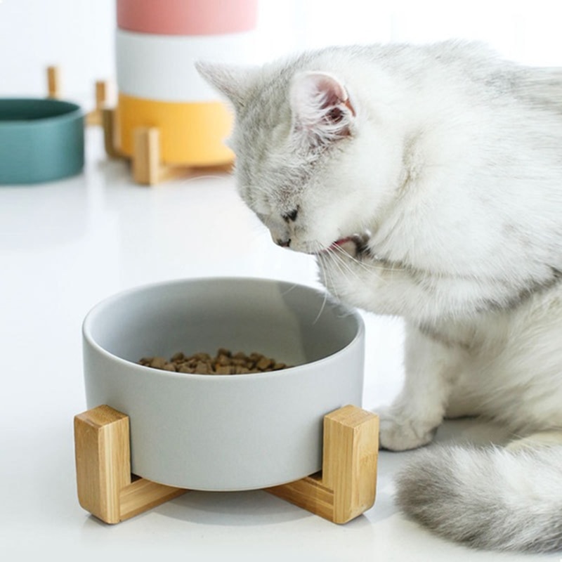 Arquivet Keramische Voerbak Voor Honden En Katten – 20 Cm, Stevig En Makkelijk Schoon Te Maken