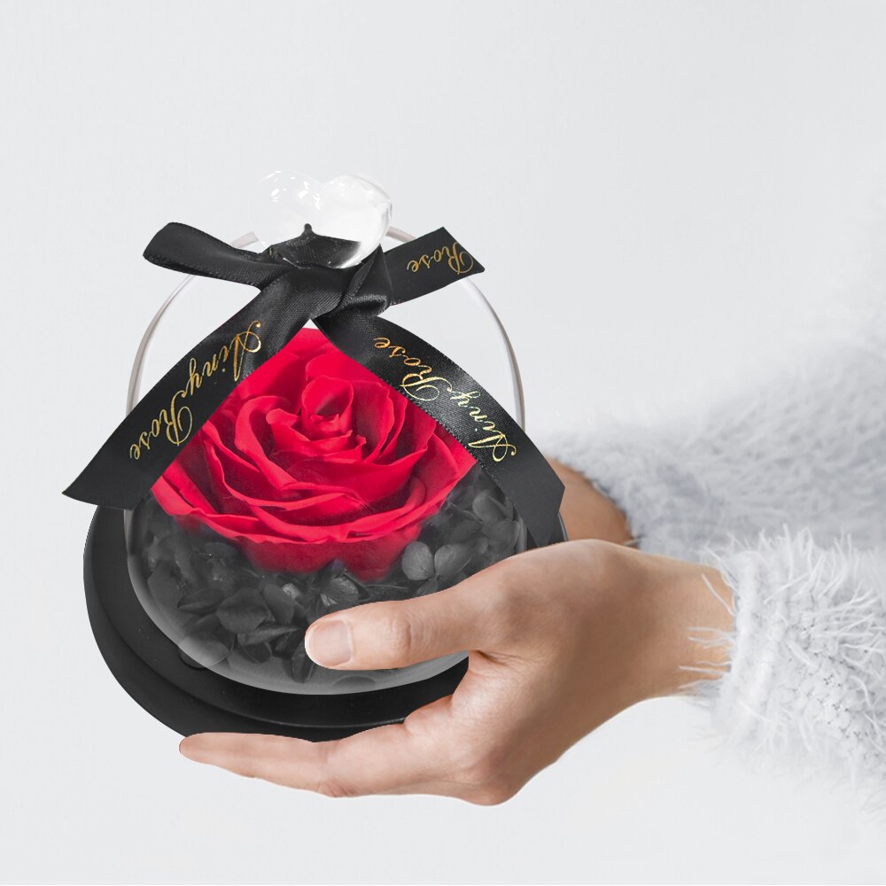 AINYROSE fleur de Rose artificielle en dôme de verre avec lumière LED boîte lampe de nuit Rose éternelle d'anniversaire de mariage pour fille