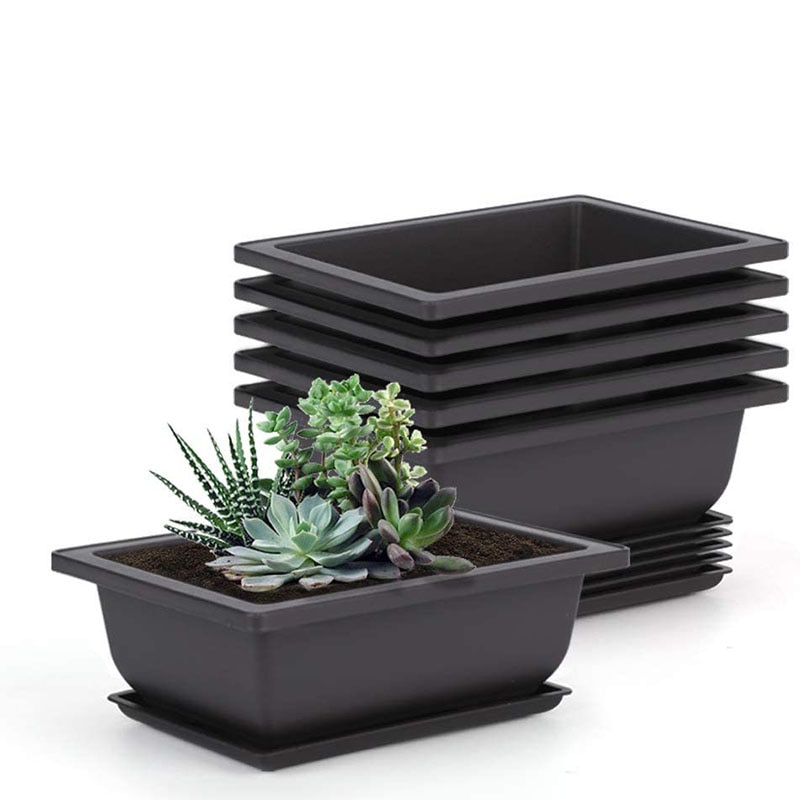 10 Packs Bonsai Training Pots with Tray Plastic Bonsai Plants Gg Pot for Garden Yard Living Room Balcony 16.5X12cm