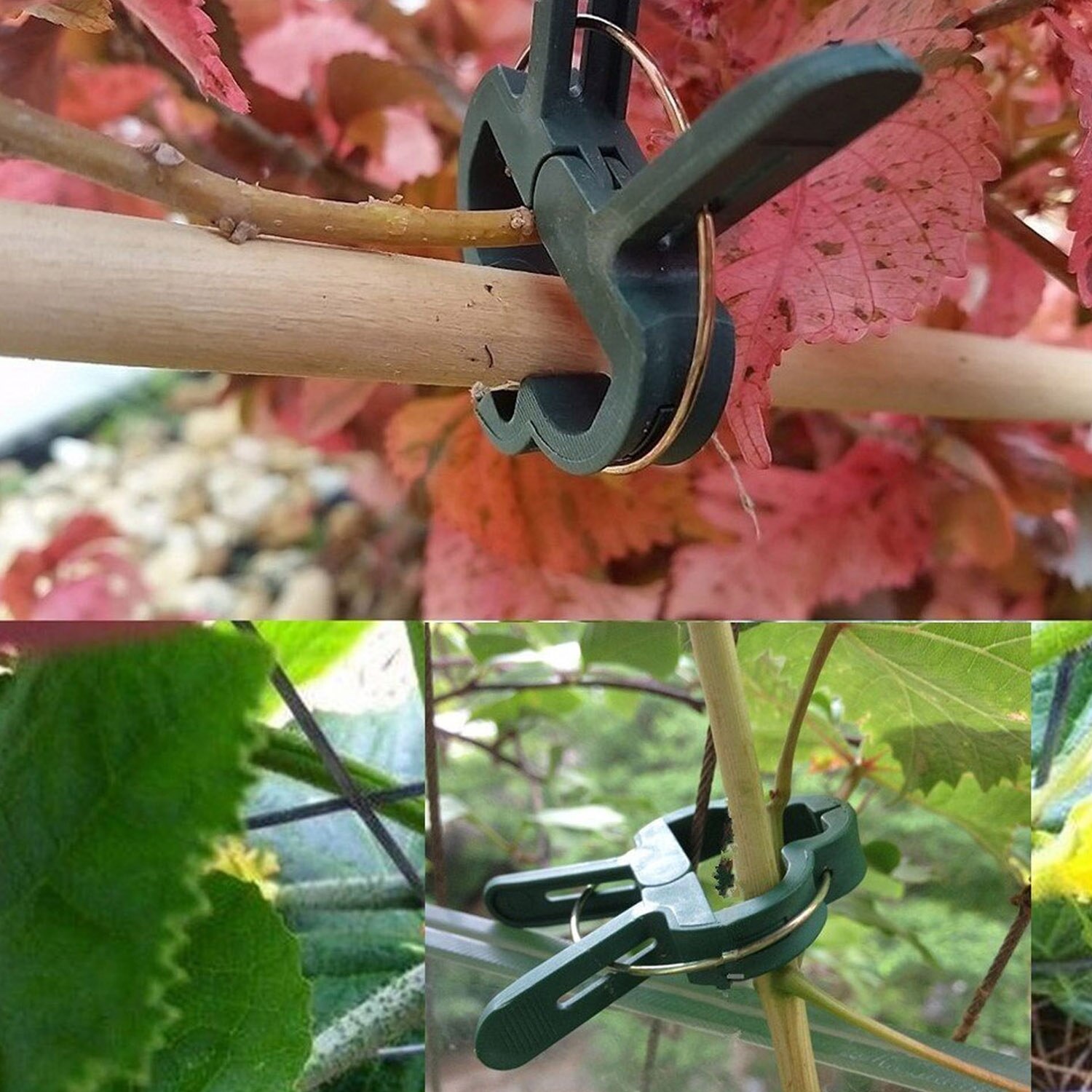 31 stk blomst plante støtte klip binder ledninger sæt til avler gartner hjem have gårdhave balkon frugthave
