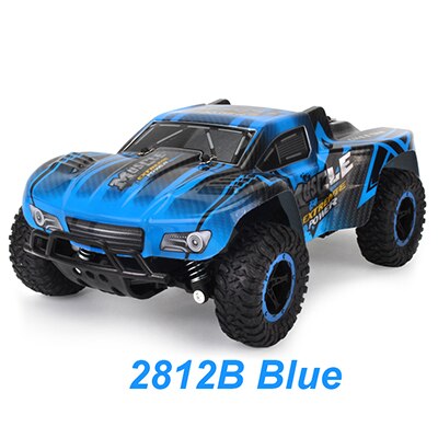 MEOA RC Car 1:20 Scale 2.4G Off-Road RC Drift Car Radio Control Anti-Water Shock Absorber RC Buggy Carro De Controle Remoto: 2812B-Blue