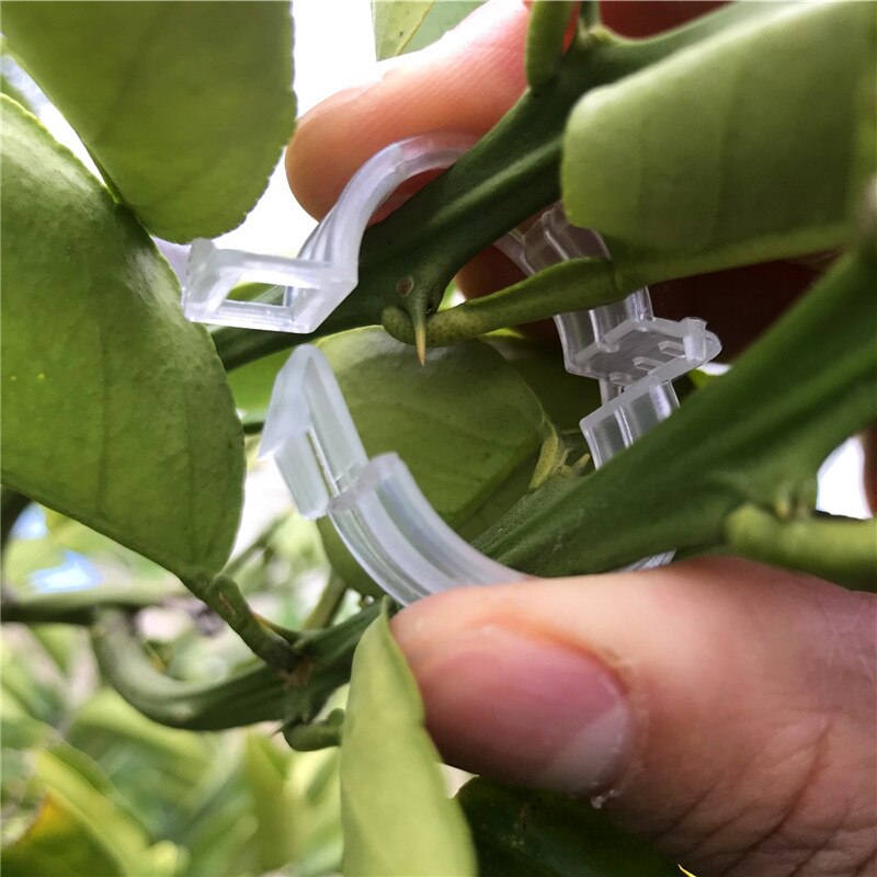 50/100pcs Reusable clamps Plastic Plant Support Clips For Plants Hanging Vine Garden Greenhouse Vegetables Tomatoes Clips 25mm
