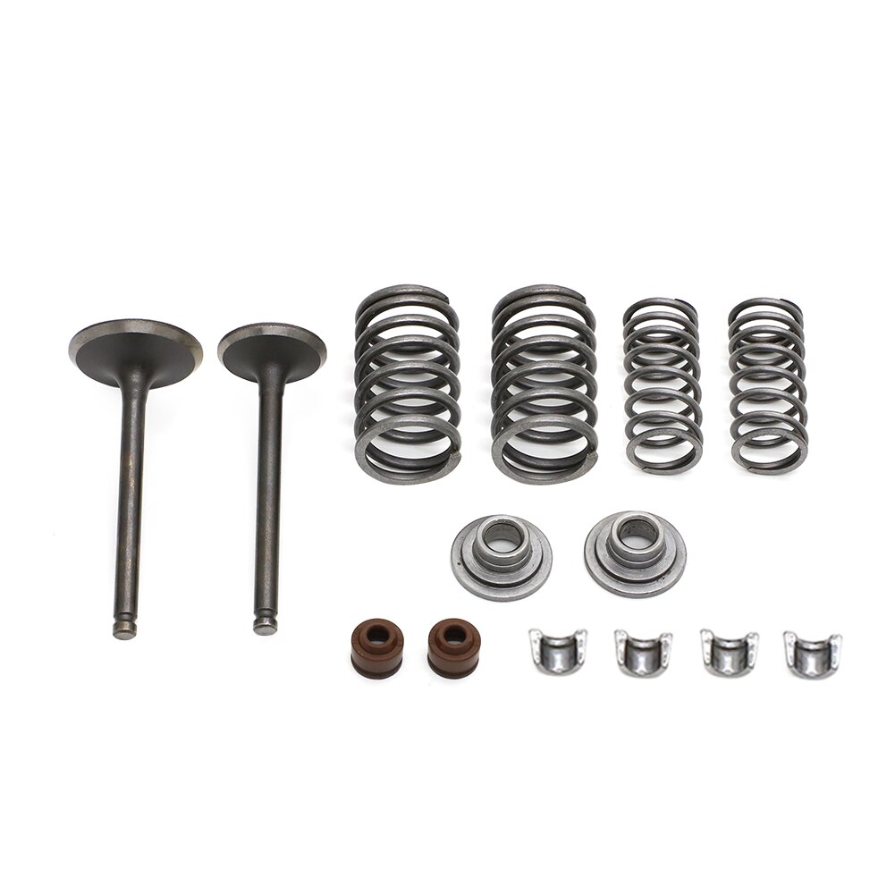 Cylinder Valves Kit Intake Exhaust Valve Spring For SSR SUNL Roketa Kazuma Coolster Hensim Taotao True 125Cc Atv Dirt Bike