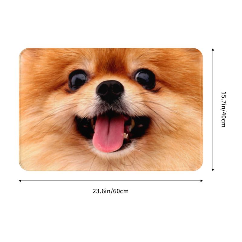 Pomeranian Welpe Bodentür Küche Badezimmer matt Anti-Rutsch draussen Spitz Pom Hund Fußmatt Garten Eingang Teppich Teppich Fußpolster