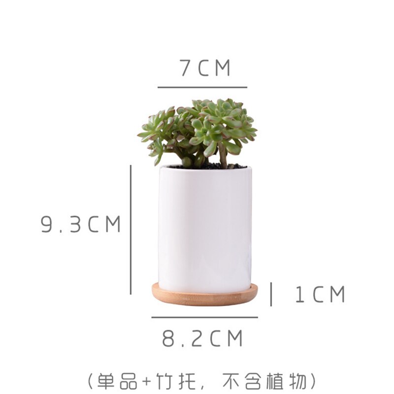 Macetero de porcelana de cerámica blanca minimalista para plantas suculentas, macetero de porcelana decorativo para escritorio, maceta para decoración del hogar, 1 olla + 1 bandeja: 02