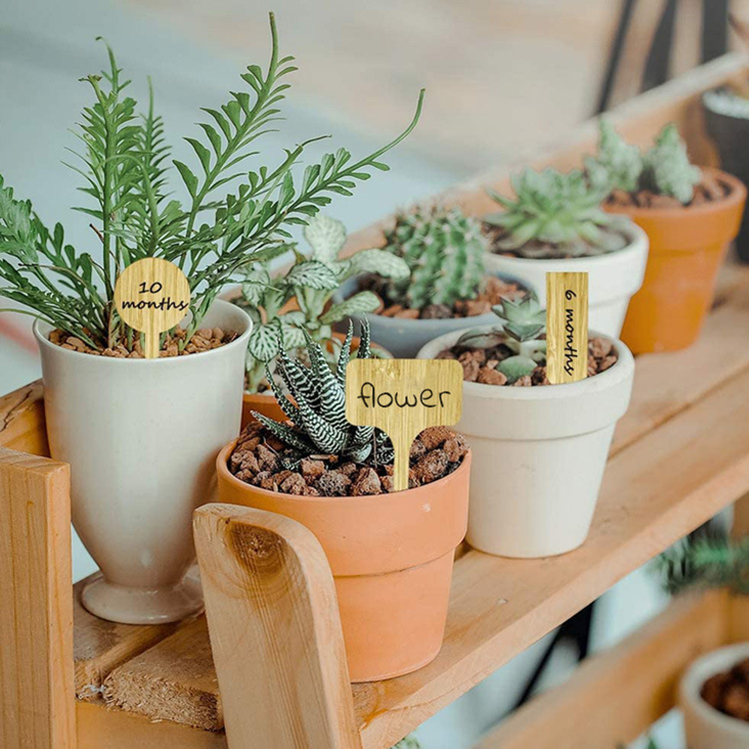 5 Pcs Bamboo Plant Marking Label Potted Plants Nurseries Succulents Flowers Vegetables Seedling Markers Gardening Marking Card