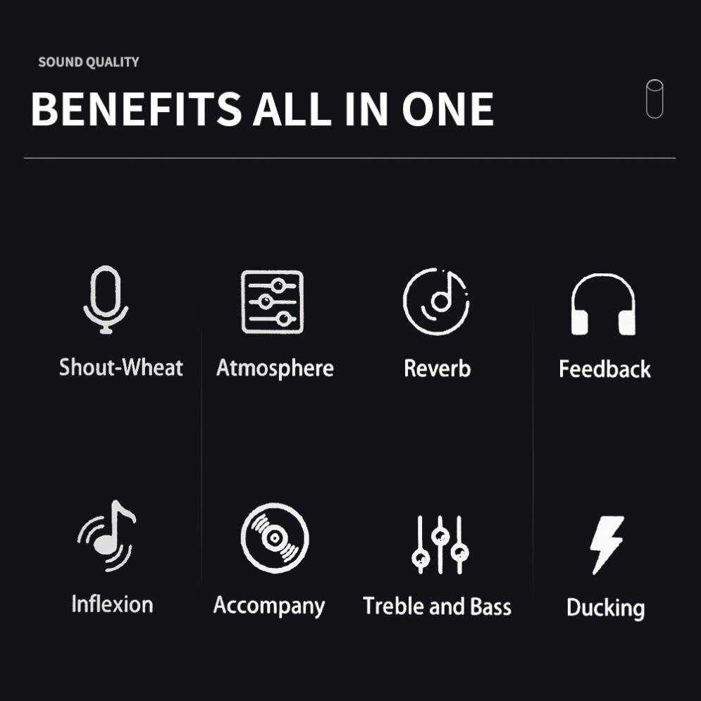 V10 Live Sound Card Live Audio Processing Microphone Sound Card Audio Interface for Live / Karaoke / Singing / Computer