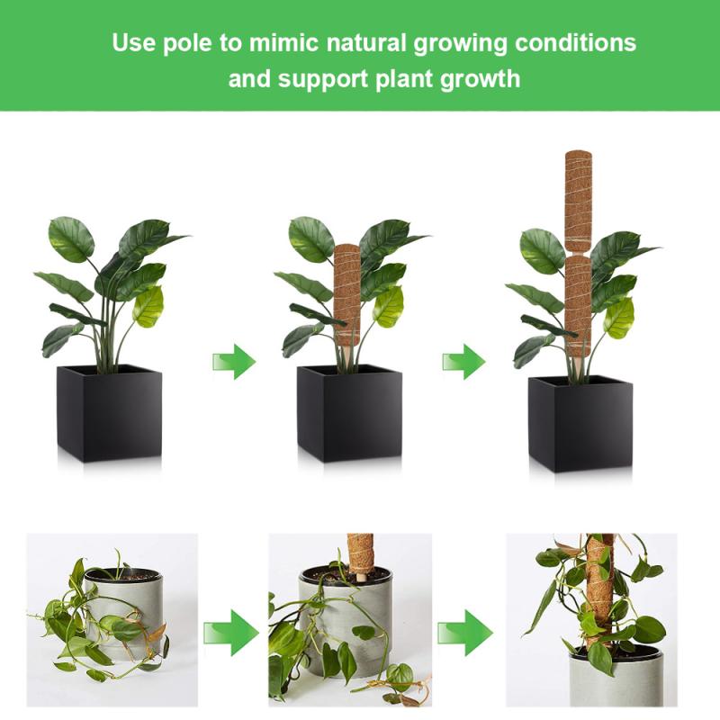 Plante klatring kokos totempæl have balkon kontor slyngplante espalier ramme kokos opretholde fugt planter stick støtte