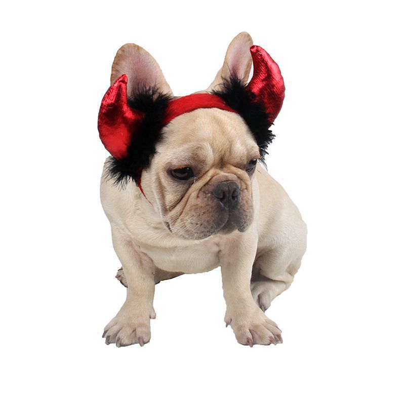 Halloween huisdierbenodigdheden halloween kat hoorn pet vampier kleine duivel volwassen hoorn pet