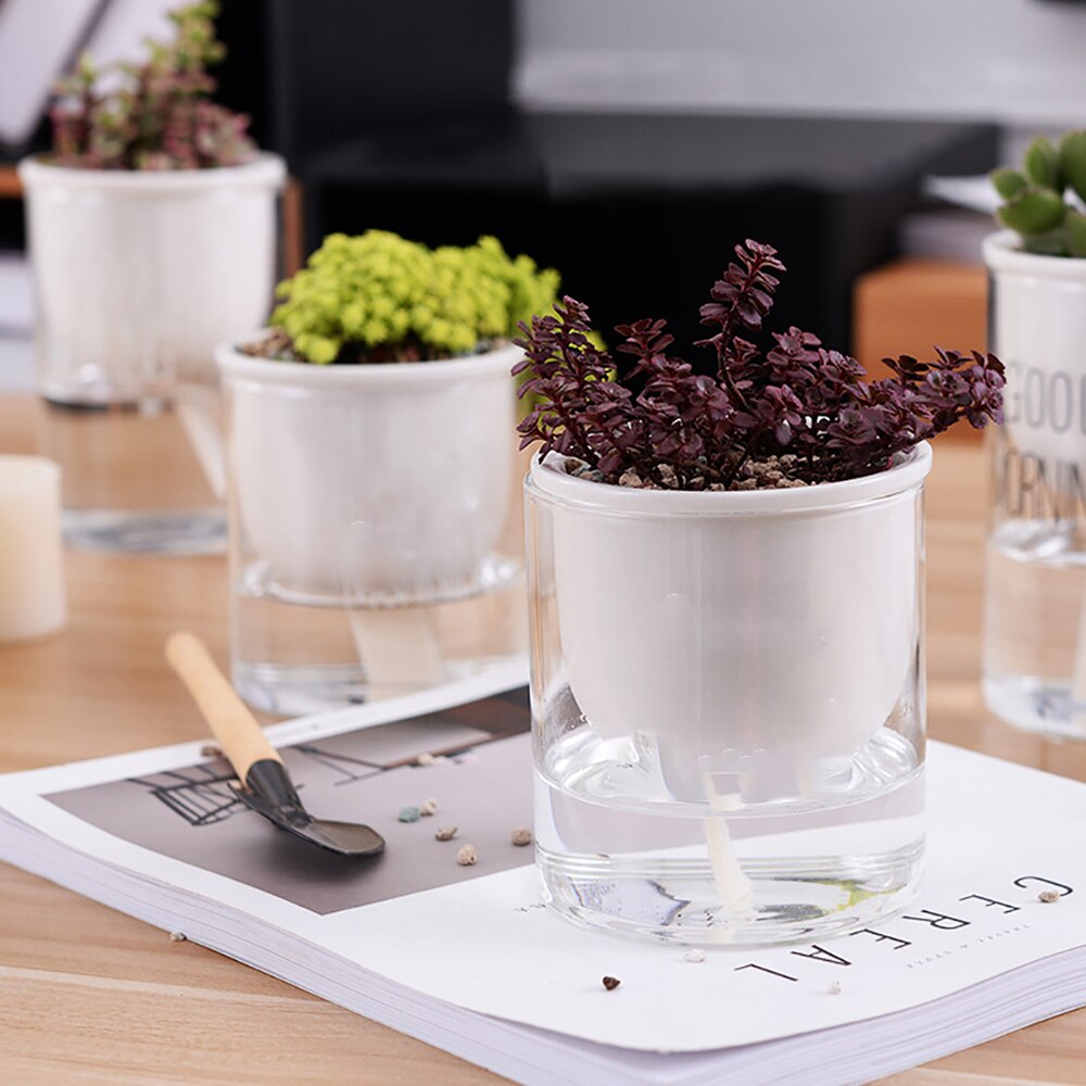 Stuks Clear Self Gieter Planter Voor Indoor En O Grandado