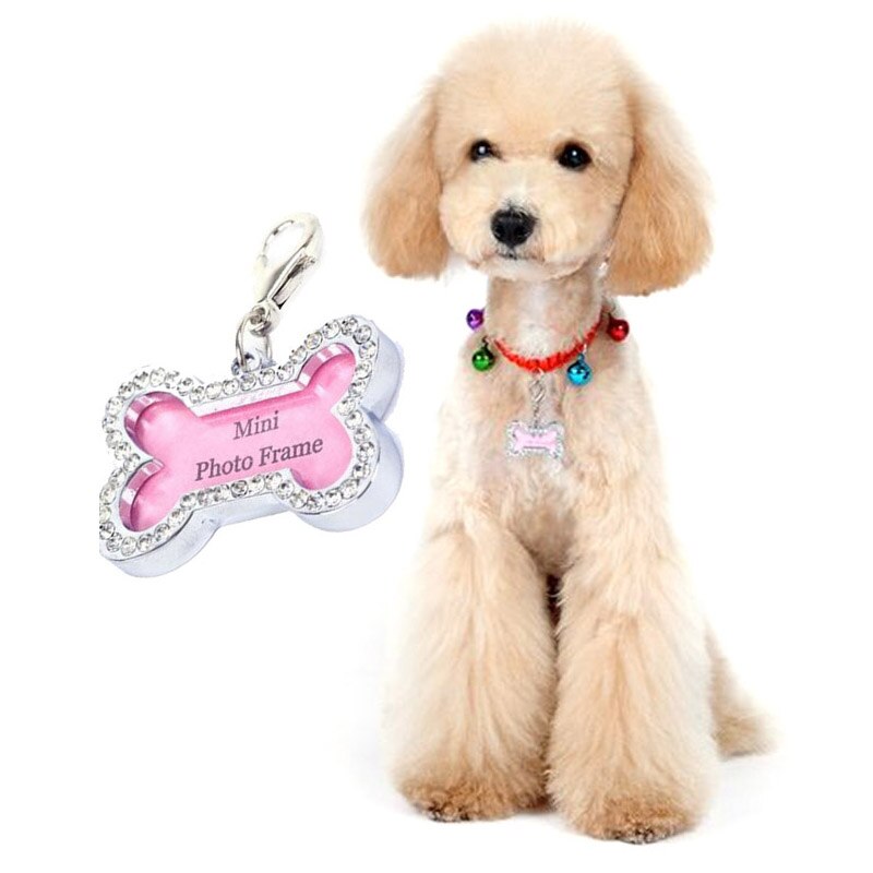 Kæledyrs-id-mærke til kat og hvalp mini anti-tabt knogleformet hund fotonavn adressebog adressemærker til hunde kæledyrshalsbånd etiket vedhæng