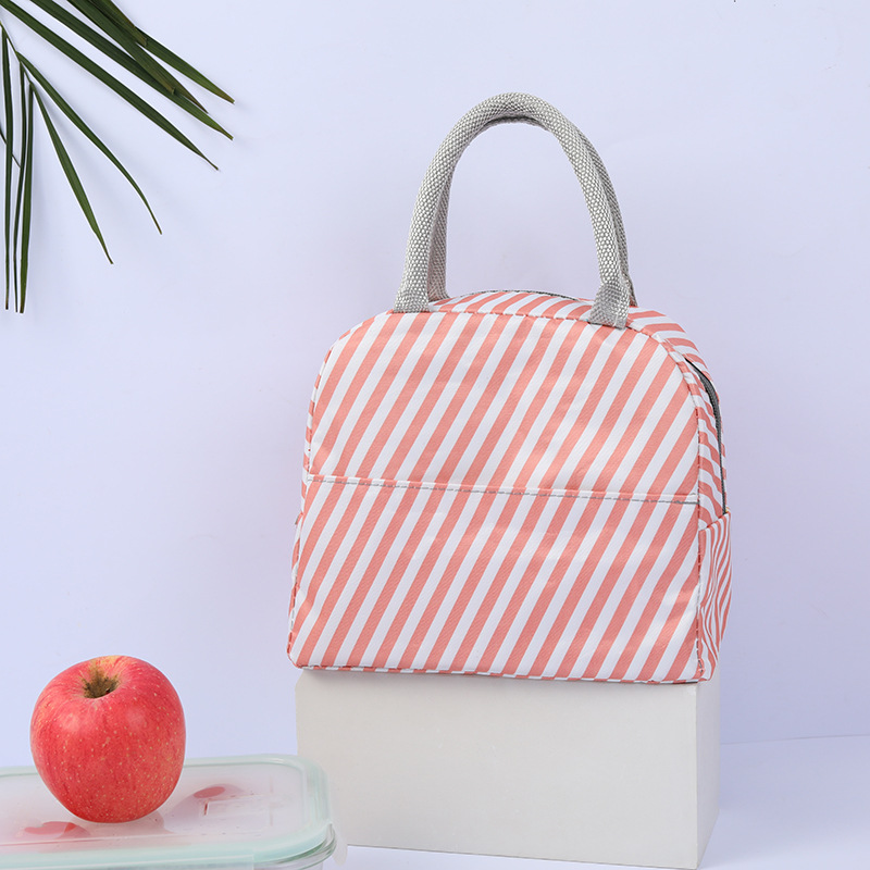 Søte kaktus bærbare glidelåser vanntette lunsjposer kvinner student lunsjboks termosekker kontorskole piknik kjøligere matpose bolso: Rosa stripe