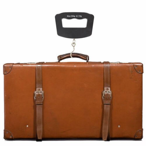 Portable Spring Scale Travel Luggage Scale Hanging Scale Mechanical Kitchen and Fish Fishing Scale