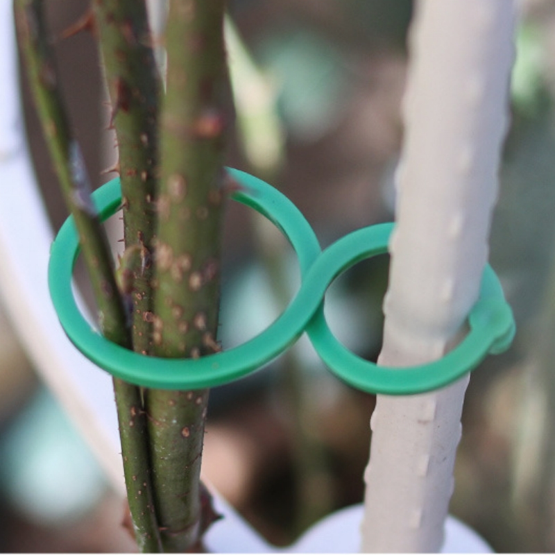 Plastic Garden Vine Strapping Clips, Tie Plant Bundled, Suporte do anel de fivela, Plantas de tomate, Ferramenta de suporte, 50 pcs, 100pcs