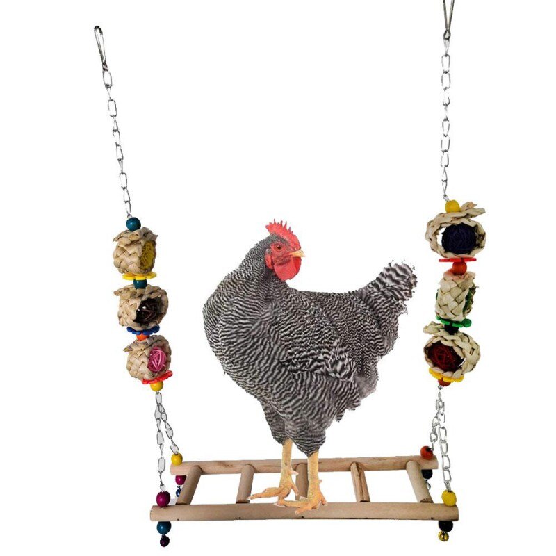 Medium And Large Parrot Swing For Suspension Bridg... – Grandado