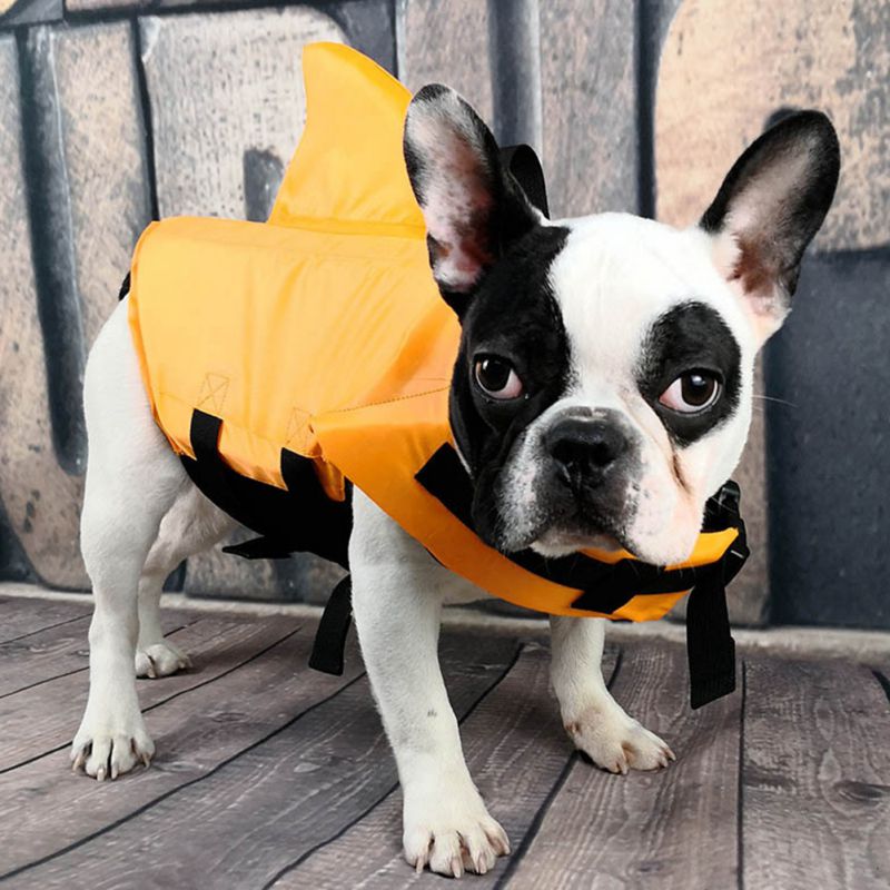 Haustier Hund Schwimmweste Sommer Hai Haustier Leben Kleidung Hunde Jacke Hund Sicherheit Bademode Haustiere Sicherheit Schwimmen Anzug Hunde Weste kleidung