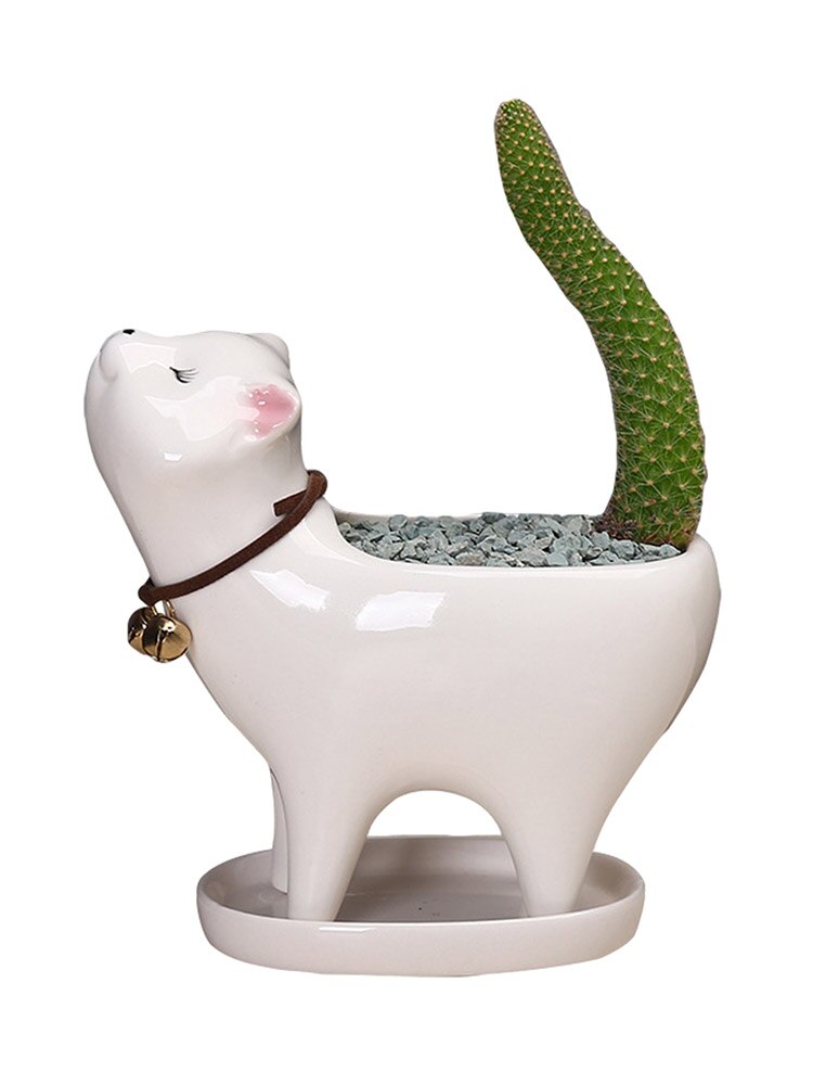 Pots de fleurs de jardin en céramique, chat mignon, plantes succulentes, conteneur de bureau, ornements d'animaux de dessin animé