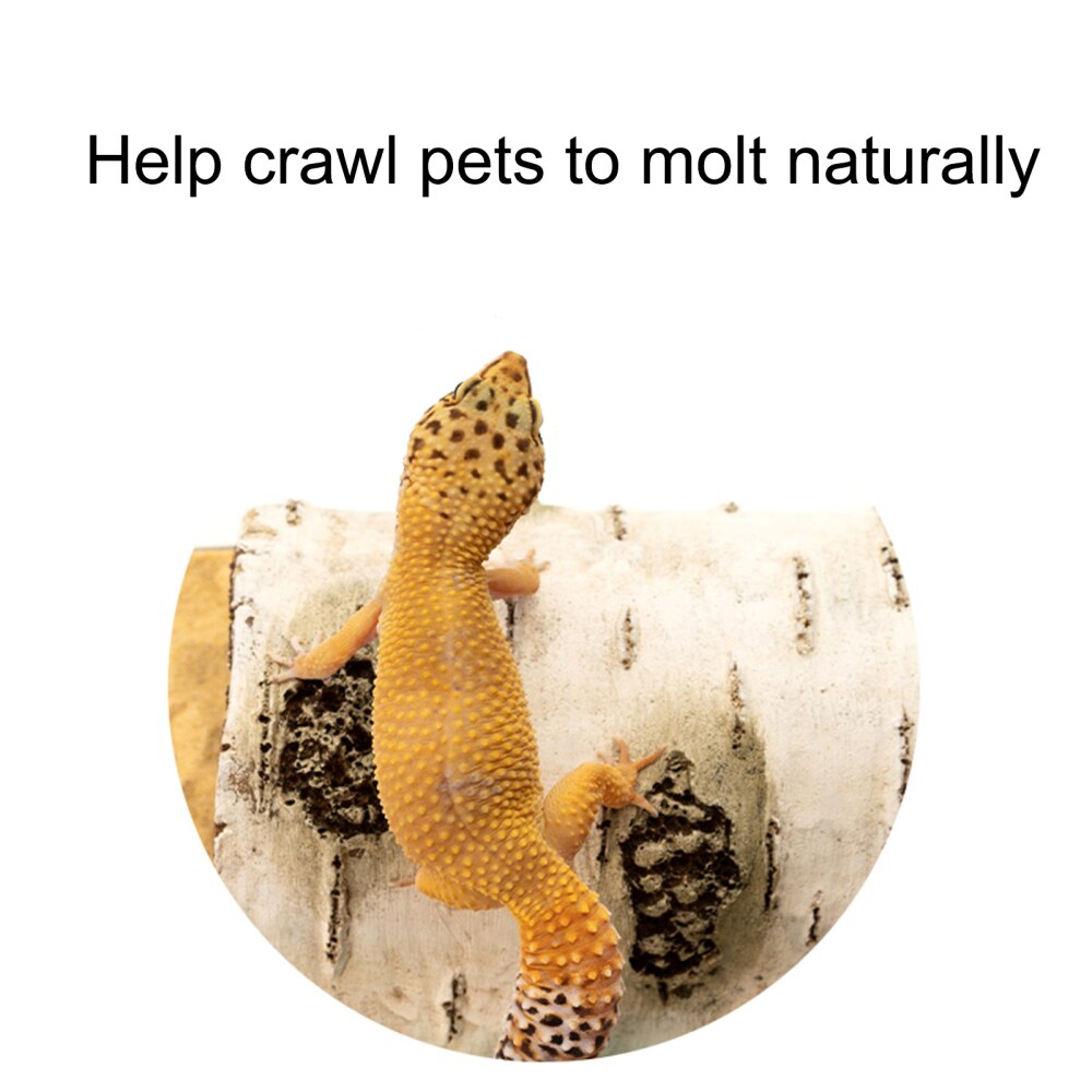 Reptiles Snake Avoid Hiding House Landscaping Climb Pet Habitat Ornament Gray Hole Simulation Resin Bark Cave Ornaments