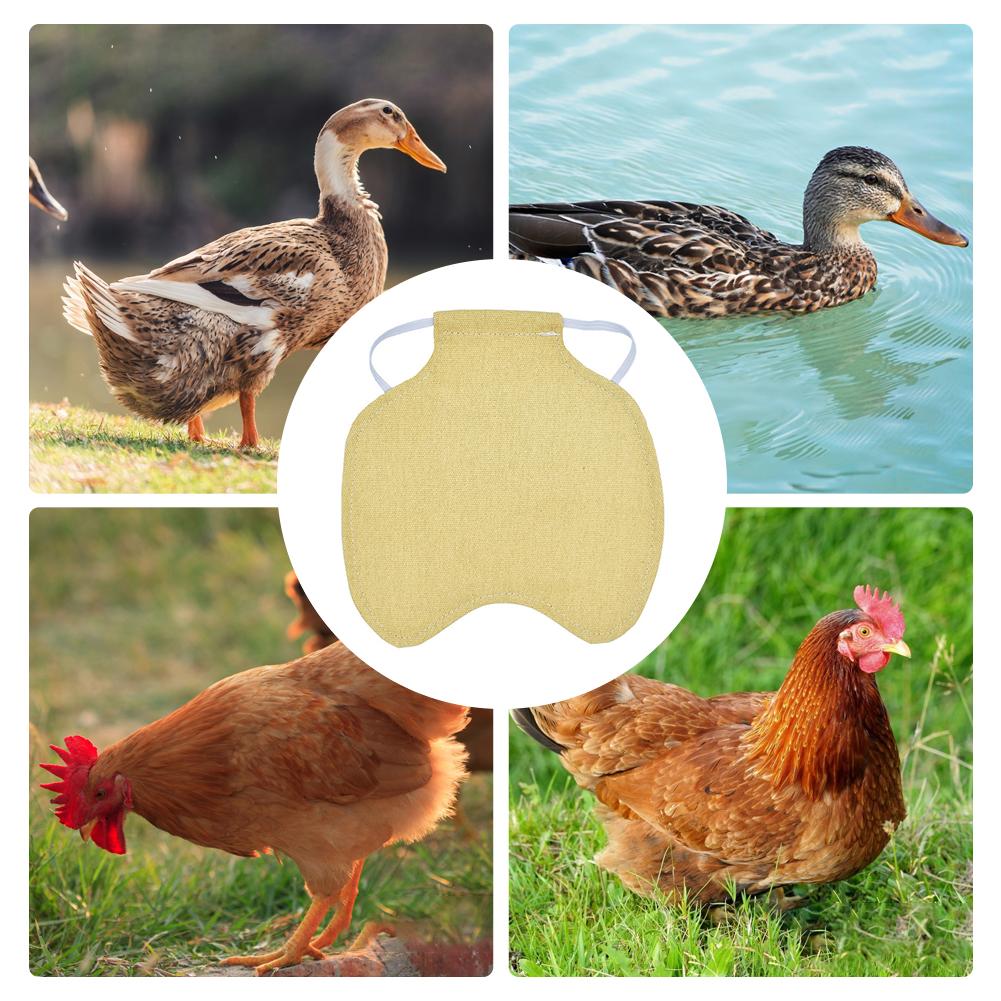 1 stk høne kyllingesadel forklæde fjer rygbeskytter enkelt rem standard kyllingjakker gårdforsyninger