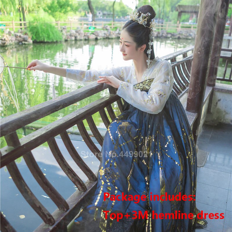 Women Chinese Style Traditional Folk Dance Costume Oriental Han Dynasty Fairy Performance Hanfu Crane Singer Printed Skirt Set: Color2 / L