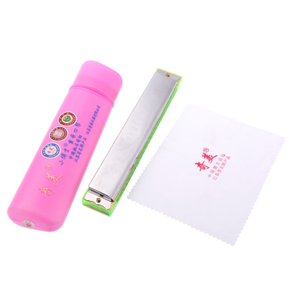 24 hulls munnspill oktav munnspill munnorgan fritt sivblåseinstrument med koffert