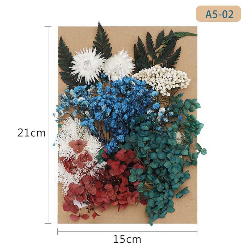 Fleur pressée mélangé fleurs séchées matériel pour bricolage aromathérapie bougies carte de voeux époxy artisanat boucles d'oreilles FAS6: Beige