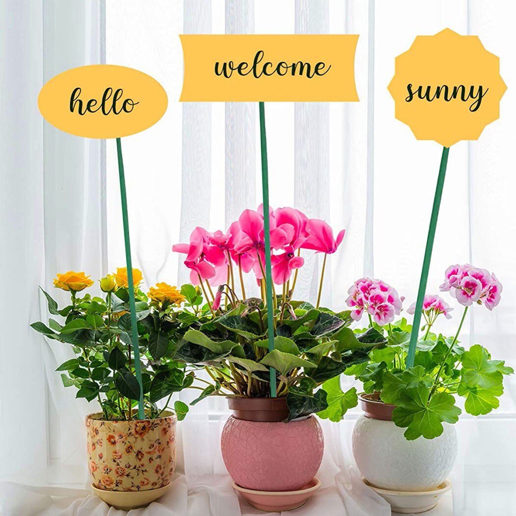 Bastones de bambú para plantas, Estaca de bambú para flores, palos de repuesto profesionales, Clips para plantas, arreglo de flores, suministros de jardín