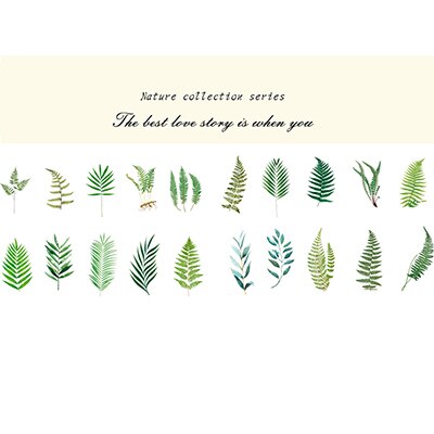 40 unids/bolsa de pegatinas de papel para decoración de plantas y flores naturales, pegatinas para decoración de álbumes de recortes: 02