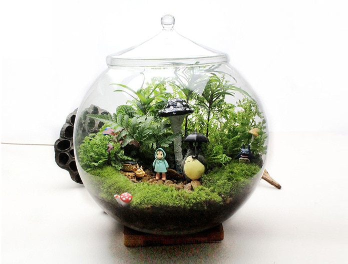 1pc handgemaakte micro-ecologische transparante vazen, multifunctionele glazen vazen met deksel, huwelijksdecoratie, huisdecoratie  jy 1203