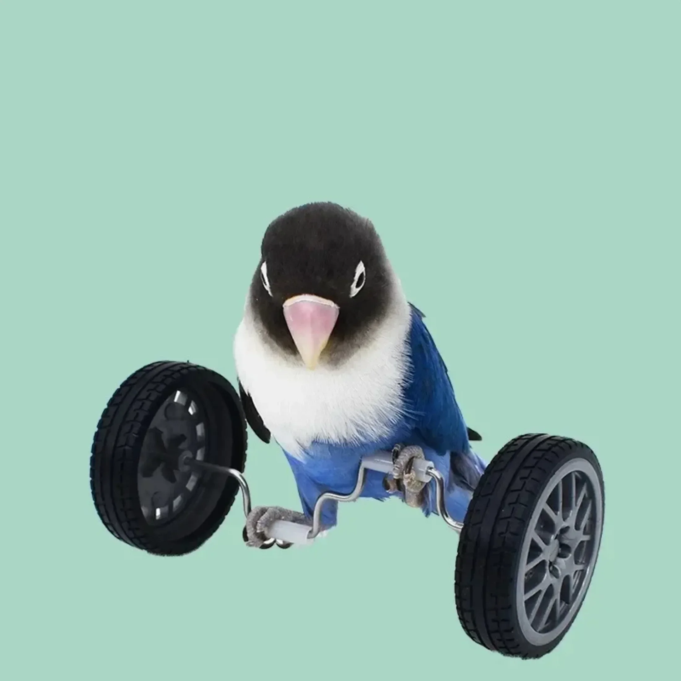 Juguetes para loros grandes, bicicleta, juguete de equilibrio de aves, Mini patines de doble fila, juguetes de entrenamiento para pájaros pequeños, ruedas giratorias, bicicleta para pájaros