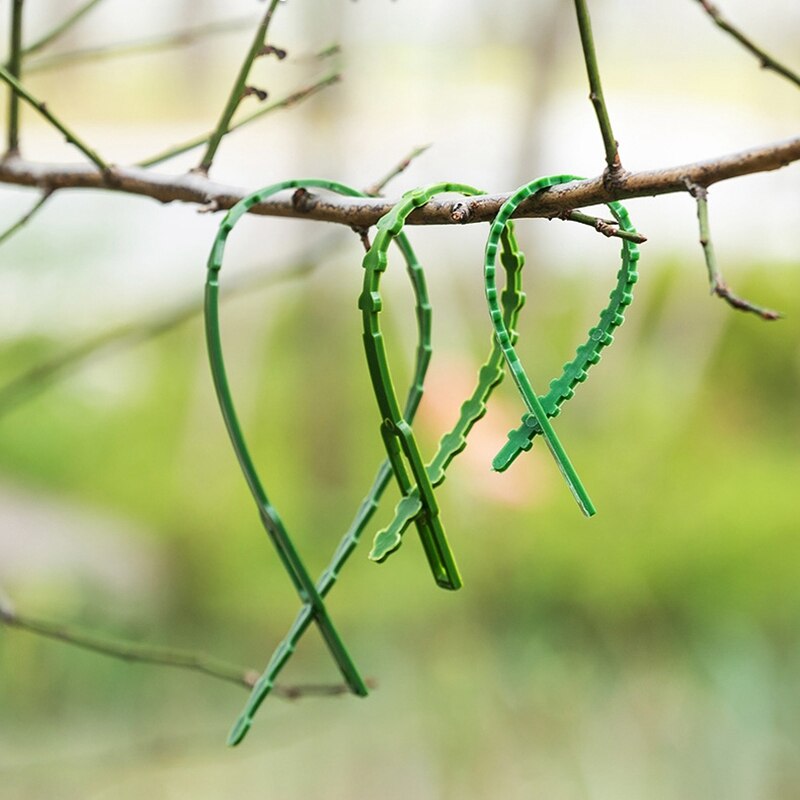10/20/50/100PCS Self-locking Plastic Tie Adjustable Plastic Plant Cable Tie Reusable Garden Cable Tie Plastic Zip Loop Wire Wrap