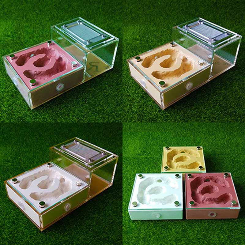 Model magnetyczny bioniczny płaski tynk gniazdo dla zwierząt domowych zamek skrzynka mrówki gospodarstwo domowe Terrarium dla gadów wyjątkowe prezenty