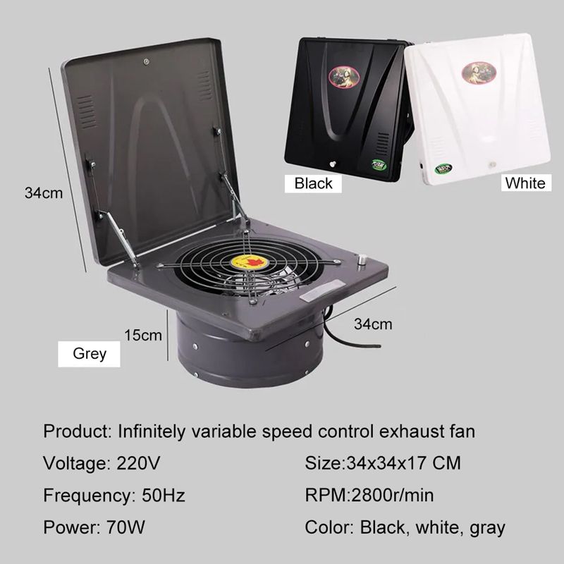 Extractor de aire de ventilación de humo para cocina y barbacoa, potente extractor de aire montado en la pared de 10 pulgadas, con tapa abatible, 220V