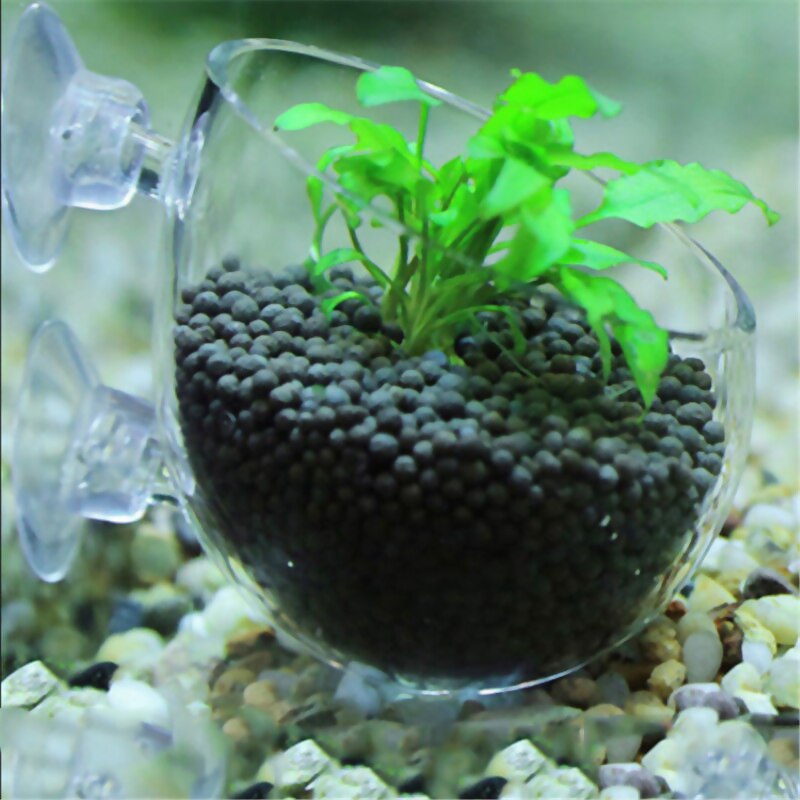 Aquarium Accessoires Crystal Clear Glas Plant Pot Plant Bekerhouder Aquarium Landschappen Cups