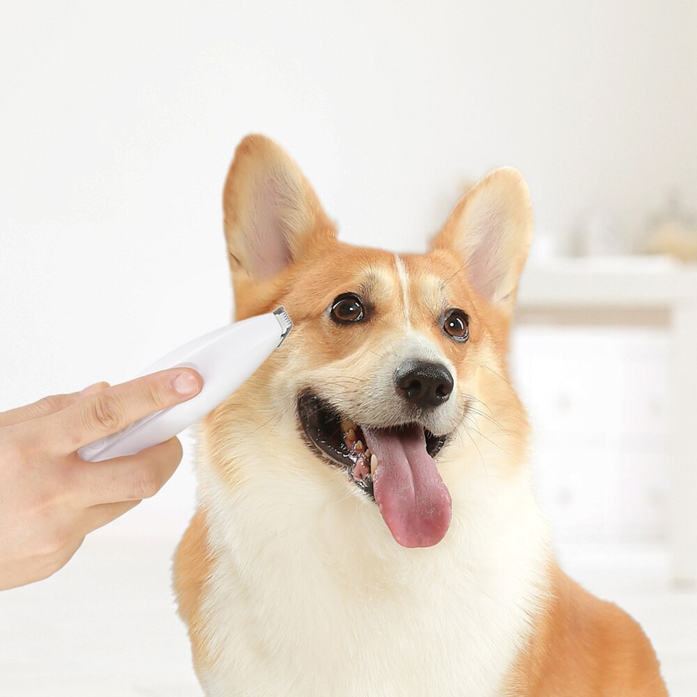 Xiaomi Pawbby Haustiere Haar Trimmer Hund Katze Rasierer Hundesalon Werkzeug Elektrischen Scheren Cutter Hund Haarschnitt Pfote Rasierer Haarschneidemaschine
