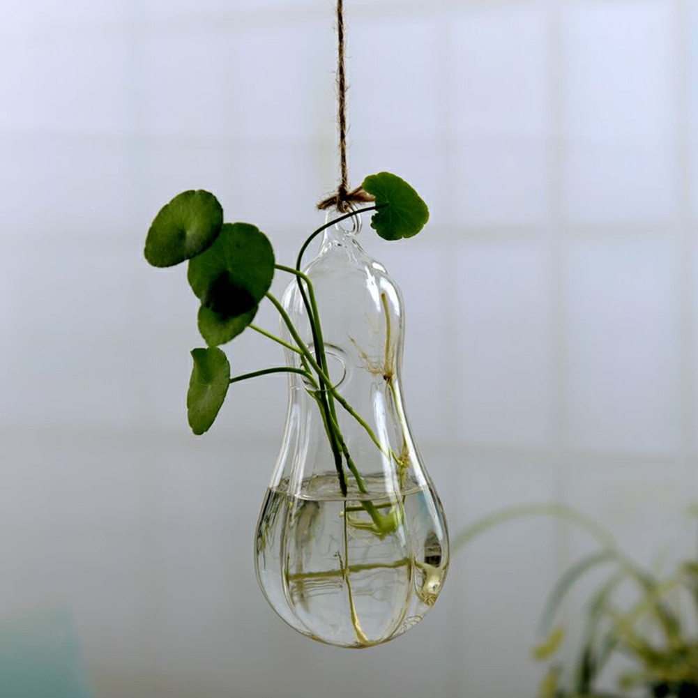 Wall Hanging Light Bulb Glass Vase Flower Plant Terrarium Container Home Decor: Pumpkin shape