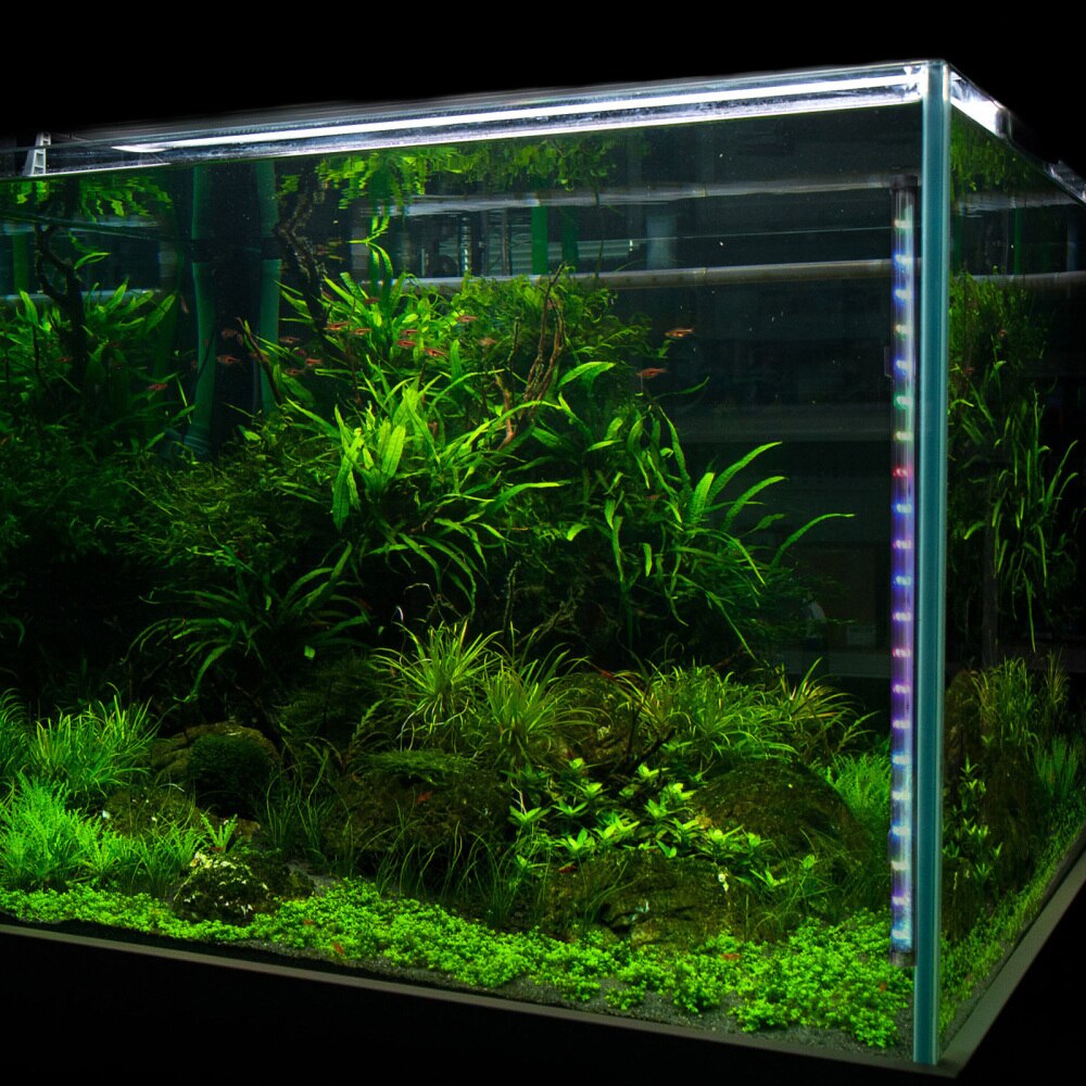 Aquarium Color Changing Bubble Lamp LED Diving Lamp Fish Tank Lamp DB-15 with Plug Black