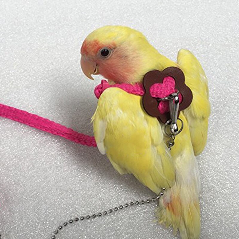 Arnés para exteriores para loros, correa ajustable, cuerda de entrenamiento, banda antimordida para pájaros y mascotas,