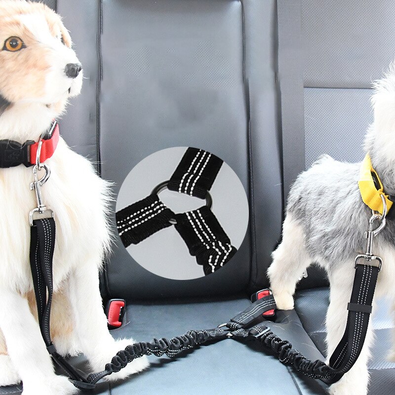 Twee Hond Auto Leash Veiligheid Hond Autogordel Dubbele Hondenriem Voor Auto Elastische Pet Veiligheidsgordel Voertuig Reizen Veiligheid riem Voor 2 Honden