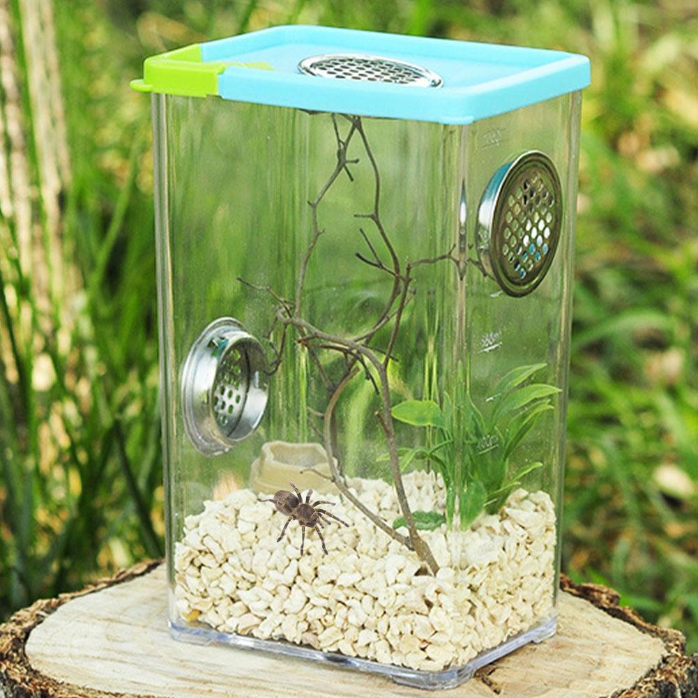 Reptile Breeding Box Clear Acrylic Reptile Terrarium Feeding Box for Spider Scorpion Pet Terrarium Snake Spider Lizard Scorpion