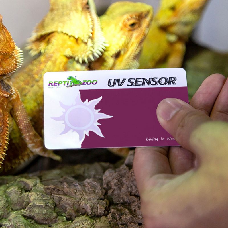 2 stk / sæt krybdyr terrarium uvb testkort uv lys lampe liv test papir