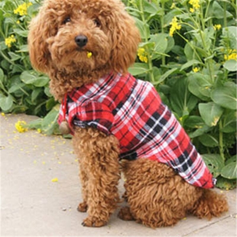 Kingccpet Huisdier Puppy Hond Shirt Vesten Plaid Streep Huisdier T-shirt Katoen Kat Grid Kostuums Hond Zomer Kleding jas Jassen