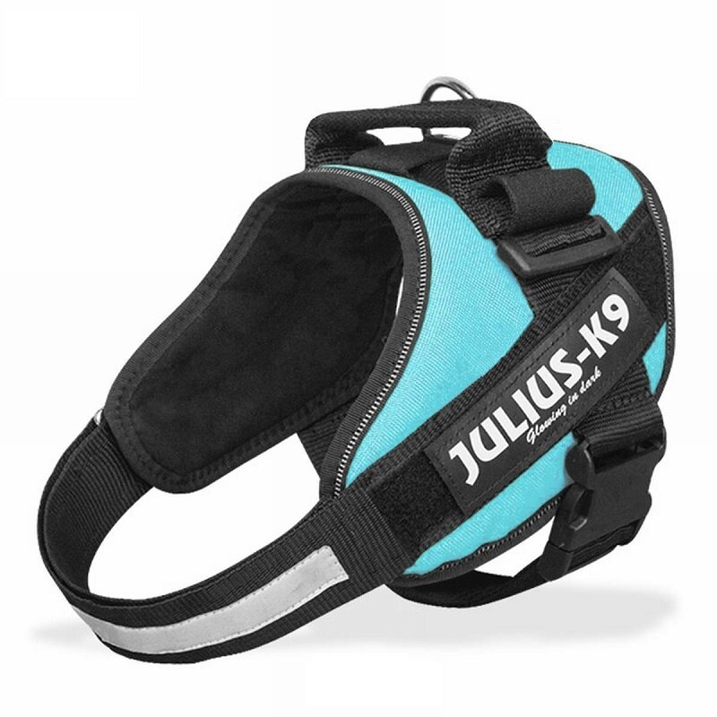 Uprząż zwierzęca zestaw JULIUS K9 smycz dla psa dla małego dużego wzrostu szkolenia Pet Safety Cat wodoodporny Nylon: S / Skyblue