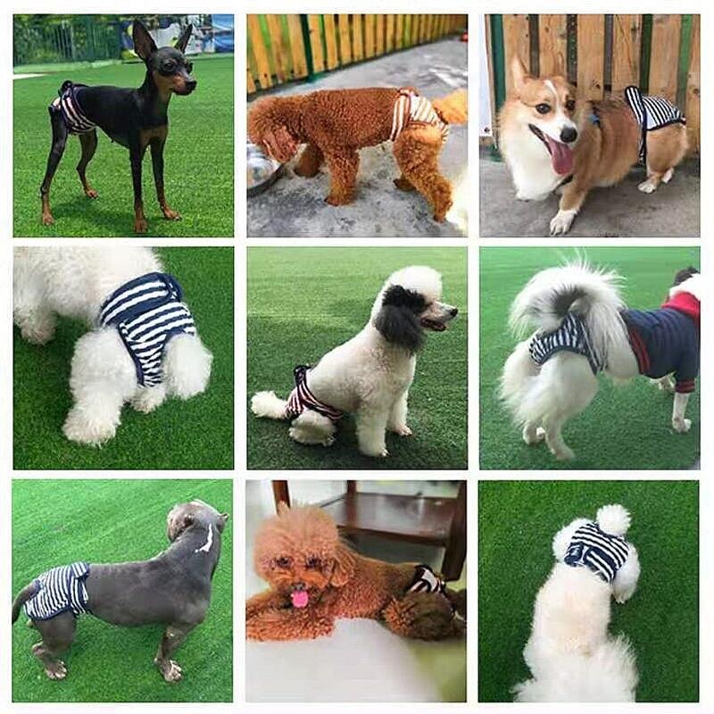 Couches pour hommes et femmes, sous-vêtements menstruels, culottes hygiéniques réutilisables pour petits chiens, pour la stimulation des règles
